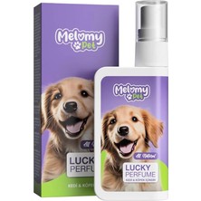 AyrStore Lucky Kedi & Köpek Parfümü - 50ML