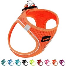 AyrStore Petex Köpek Göğüs Tasması, Küçük ve Orta Irk Köpekler Için Tasma, Yavru Köpek