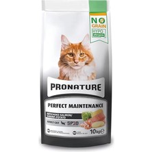 AyrStore Hypo-Allergenic Tahılsız Yetişkin Kedi Maması Somon, Karides ve Enginarlı 10 kg