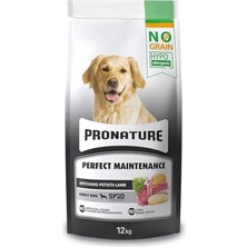 AyrStore Hypo-Allergenic Tahılsız Yetişkin Köpek Maması Kuzu, Enginar ve Patatesli 12 kg