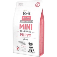 AyrStore Care Puppy, Minik Irk - Yavru Köpekler Için, Tahılsız, Hipoalerjenik Kuzu Etli Kuru Mama, 2 kg