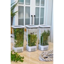 AyrStore Yeşillik Saklama Kabı 3'lü Eko Set 1,7 Litre