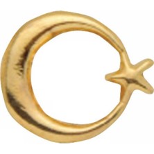 Kitabevimden Vatan Rozet Ayyıldızlı Prinç VT634(30 Adet)