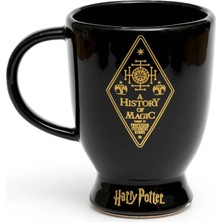 Empressco Gri Harry Potter Büyü Tarihi Kupa, Sihirli ve Şık Tasarım