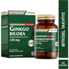 Std Nutraxin Ginkgo Biloba 120 Mg 60 Tablet ( Teklidir )