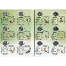 2020 Yılı Anadolu'ya Özgü Kuşlar Serisi 12'li Özel Albümünde Çil