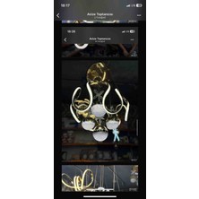 Roza Avize Helojen Model Modern Ledli Salon ve Oturma Odası Avize