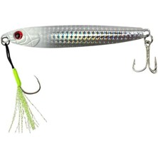 Sea Horse Special 80GR Jig Glow Head