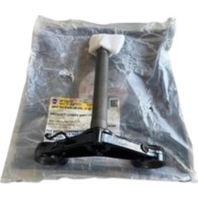 Tvs Raider 125 Alt Platin (NF100400)