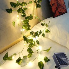 BuŞerii Güneş Enerjili Sarmaşık LED Dekor 5 Metre S-24