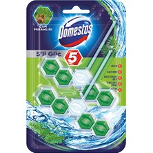 Domestos Wc Temizleyici Blok 2x5'li Güç Çam Ferahlığı (3 Adet)