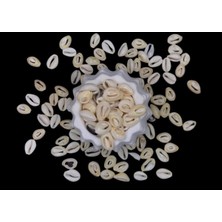 Heraldis Beyaz Deniz Kabuğu Takı Malzemesi (10 Adet)