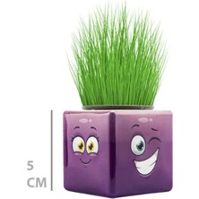 Buğz Çim Adam Mini Küp Emoji Figürlü 1 Adet