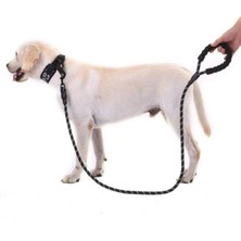 Buğz Reflektörlü Köpek Tasması 130 Cm.