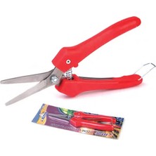 Buğz Eco Lounge Eltos Üzüm Makası