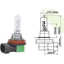 Universal 12V H9 65W PGJ19-5  Halojen Ampul