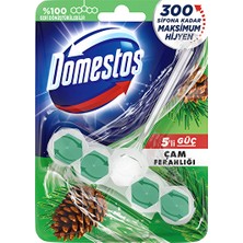 Domestos Wc Temizleyici Blok 5'li Güç Çam Ferahlığı (3 Adet)