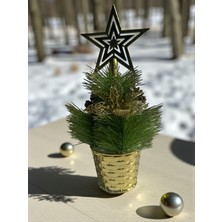 Empressco Yıldız Temalı 28 cm Yapay Yılbaşı Ağacı Dekoratif Ev Süsü