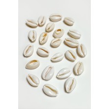 Marsilyan 10 Adet Orjinal Istiridye Aparatı Küçük