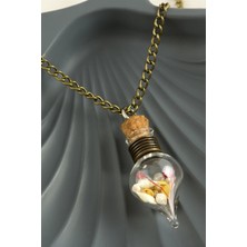 Marsilyan Mantar Tıpalı Fanus Canlı Kolye