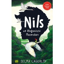 Nils ve Olağanüstü Maceraları