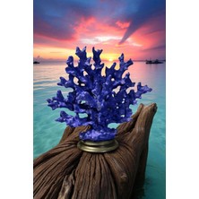 Ay Hediyelik Kaideli Mercan Biblo - Dekoratif Polyester 24X24 cm