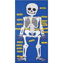 AND-9150 Cırtlı Iskelet Pano 5119