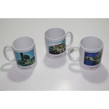 Mercansa Yöresel Kupa Bardak