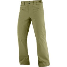 Salomon Brilliant Pant Erkek Siyah Kayak Pantolonu