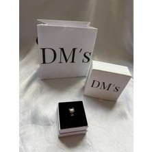 DMs Silver Fiyonklu Kedi Gümüş Charm'ı