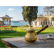 Ludia Kapaklı Pirinç El Yapımı Dekoratif Özel Işlemeli Ahşap Saplı Sarı 250ML Cezve No3