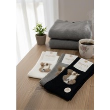 Aytuğ Kadın Soket Çorap 3'lü