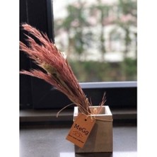 Kare Beton Saksı Meggdecor