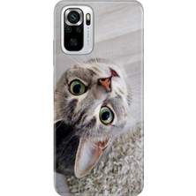 Senada Xiaomi Redmi Note 10 - 10S Kılıf Desenli Baskılı Tpu Rubber Kapak Evdeki Kedi