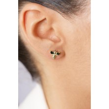 Fiyonk Kuyumculuk 14 Ayar Altın Arı Küpe