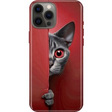 Adasena iPhone 12 Pro Kılıf Desenli Baskılı Tpu Rubber Kapak Red Cat