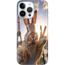 Adasena iPhone 16 Pro Max Kılıf Desenli Baskılı Tpu Rubber Kapak Pariste Tavşan