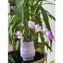 Megg Rengarenk Lipsy Dudaklı Vazo