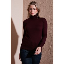 Fashion Friends Regular Fit Balıkçı Yaka Kazak Bayan Kazak 25K0780K1