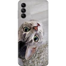 Senada Samsung Galaxy A17 Kılıf Desenli Baskılı Tpu Rubber Kapak Evdeki Kedi
