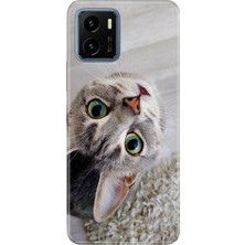 Senada Vivo Y15S Kılıf Desenli Baskılı Tpu Rubber Kapak Evdeki Kedi