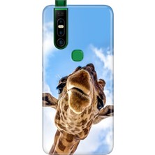 Adasena Infinix S5 Pro Kılıf Desenli Baskılı Tpu Rubber Kapak Öpücük