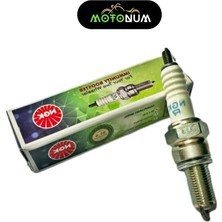 Mondial Drift L 125 Buji Ngk Hindistan DRFTL0014