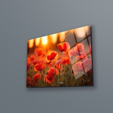 Marsilyan Haşhaş Çiçeği Duvar Dekoru , Gelincik Çiçeği Cam Tablo , Canlı Renkler , Yüksek Kalite, Temperli Cam