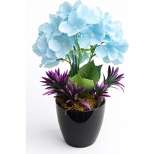 Blue Breeze Hydrangea – Mavi Ortanca Aranjmanı