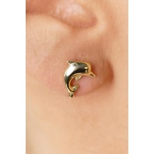 Fiyonk Kuyumculuk 14 Ayar Altın Yunus Küpe