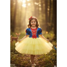 Diamondstar Pamuk Prenses Doğum Günü Parti Abiye Elbise 1/10 Yaş