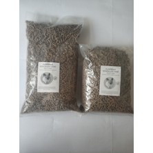 Gold Mind CP Pelet Yem 5 kg Tavşan, Chinchilla, Ginepig, Hamster, Için Uygun Kemirgen Yemi. 5 kg