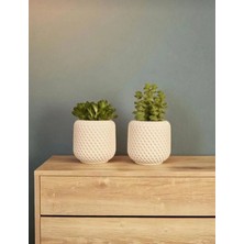 Stonee Decor Dekoratif Mum Kalıbı -Çiçek Saksısı Dekoratif Obje