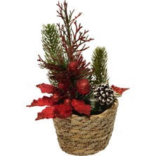 Via Gardenia Sepet Noel 25CM